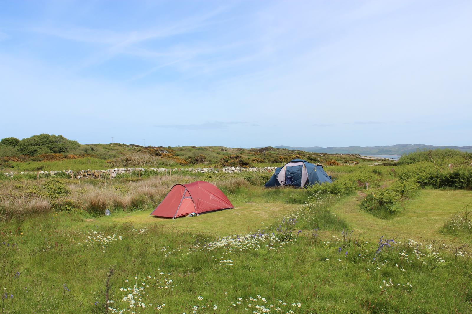Tents - Gigha Campsite